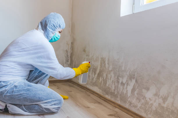 Hvac And Air Duct Mold Remediation inspection of HVAC system in La Grange